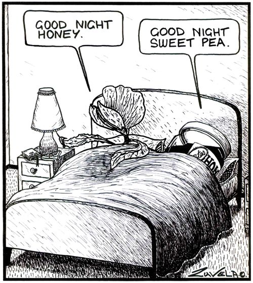'Good night honey.'   'Good night sweet pea.'