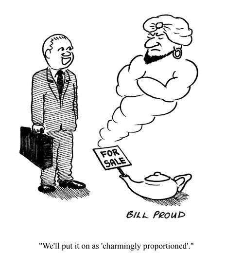 'We'll put it on as 'charmingly proportioned'.'