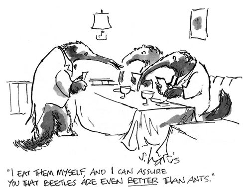 'I eat them myself, and I can assure you that beetles are even better than ants.'