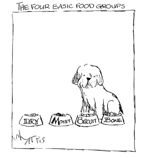 The Four Basic Food Groups - Dry, moist, biscuit, bone.