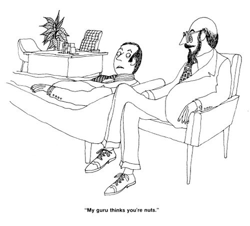 'My guru thinks you're nuts.'