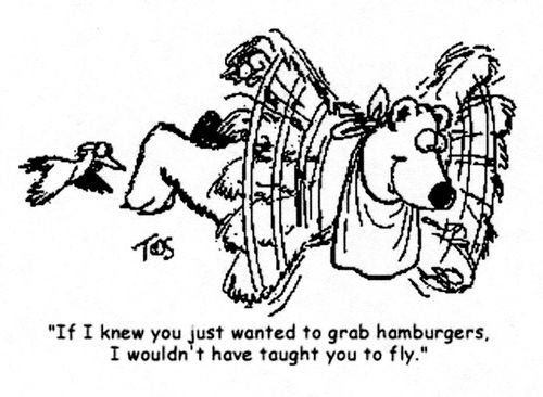 "If I knew you just wanted to grab hamburgers, I wouldn't have taught you to fly."