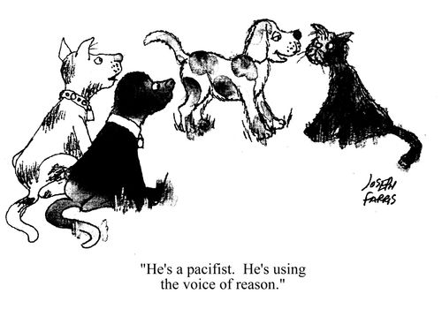 'He's a pacifist.  He's using the voice of reason.'