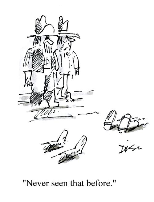 'Never seen that before.'