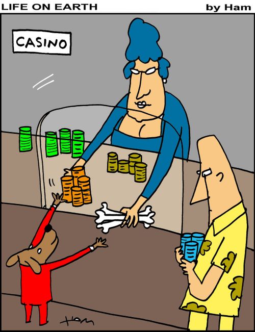 Dog in casino.