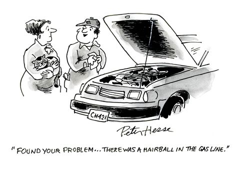 'Found your problem - there was a hairball in the gasline.'