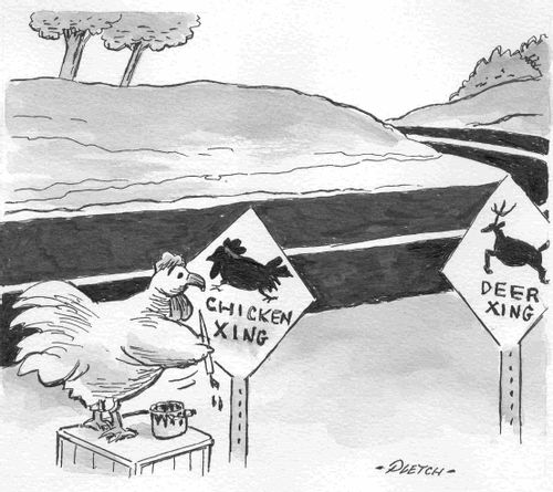 Chicken crossing road.