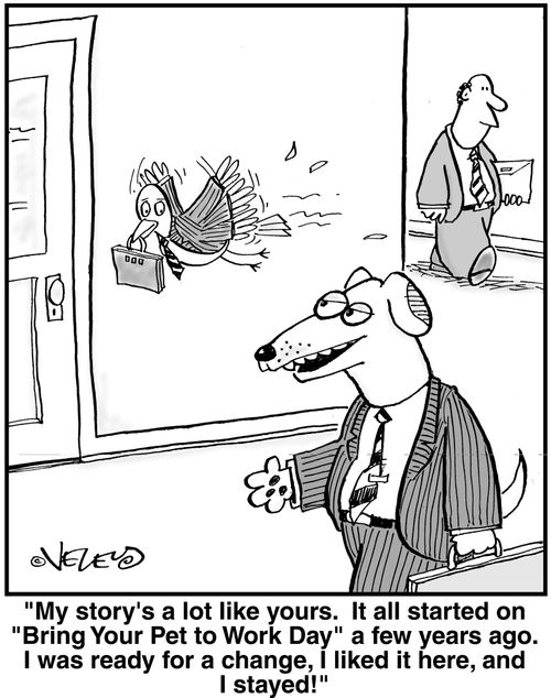 'My story's a lot like yours. It all started on 'Bring your pet to work day' a few years ago. I was ready for a change, I liked it here, and I stayed!'