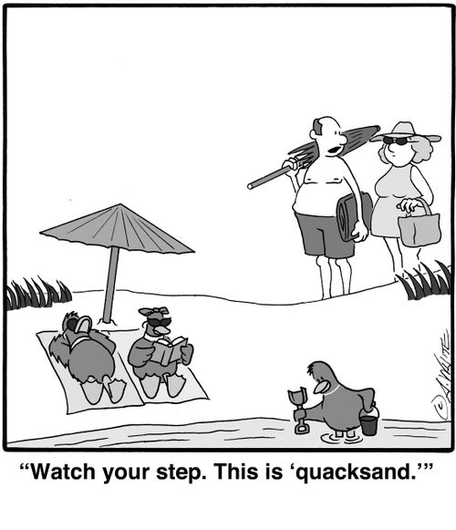 'Watch your step. This is 'quacksand.''
