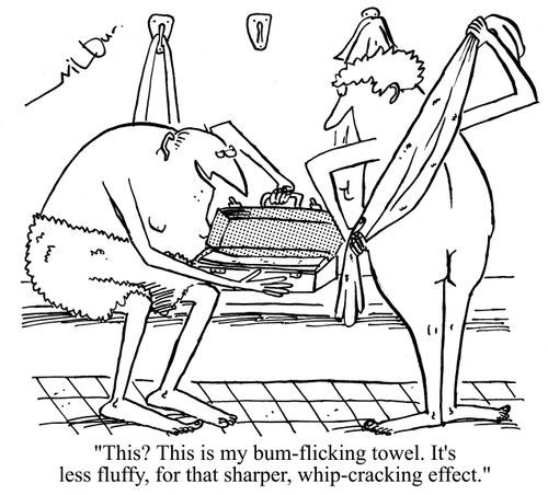 'This? This is my bum-flicking towel. It's less fluffy, for that sharper, whip-cracking effect.'
