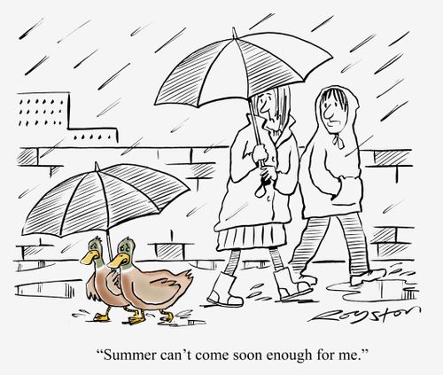 Ducks under umbrella. One says 'Summer can't come soon enough for me.'