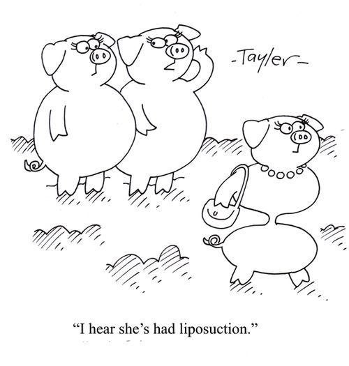 'I hear she's had liposuction.'