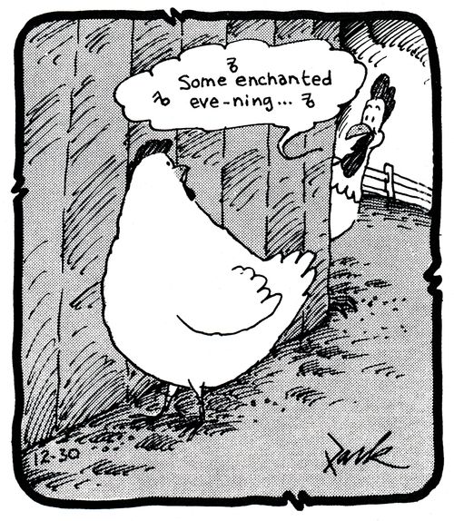 Chicken singing romantic songs