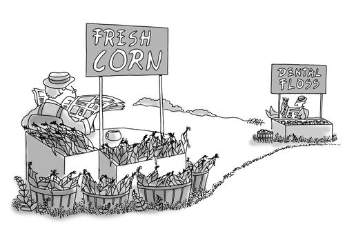 Fresh Corn and Dental Floss farmstands.