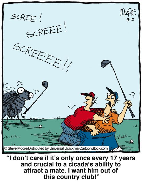 'I don't care if it's only once every 17 years and crucial to a cicada's ability to attract a mate...'