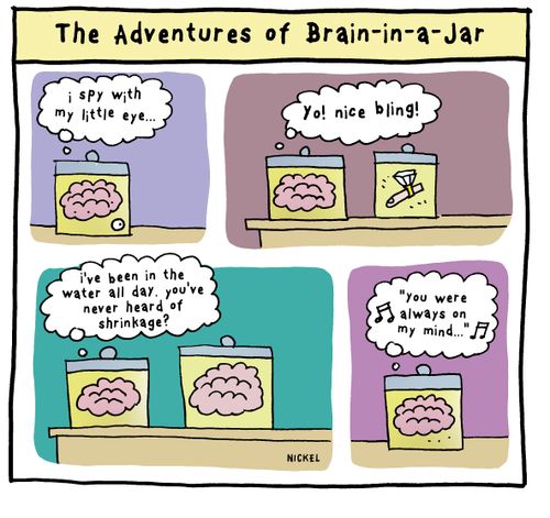 Adventures of Brain-in-a-Jar