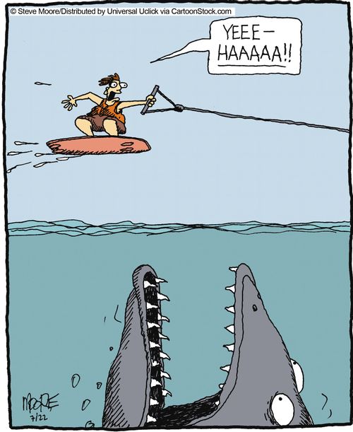 'Yeee-haaaaa!!'