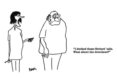'I docked those Setters' tails.  What about the dewclaws?'