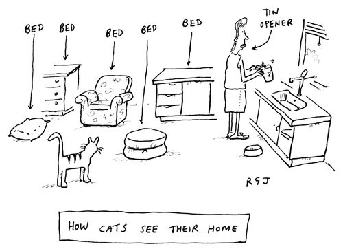 How Cats See Their Home.