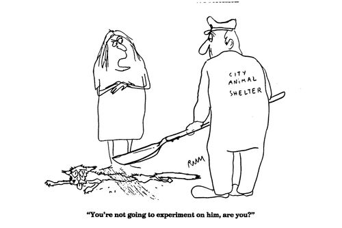 'You're not going to experiment on him, are you?'