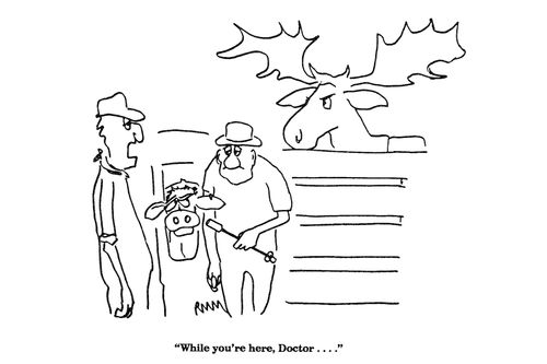 'While you're here, Doctor...'