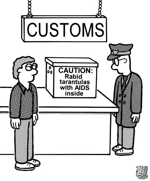 Customs caution: rabid tarantulas with AIDS inside