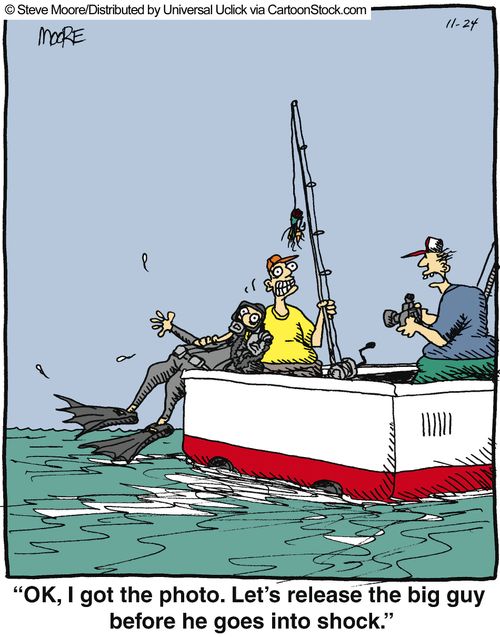 'OK, I got the photo. Let's release the big guy before he goes into shock.'