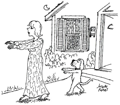 Dog sleepwalking after owner