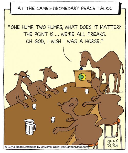 At the camel-dromedary peace talks