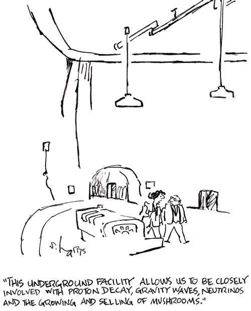 'This underground facility allows us to be closely involved with proton decay, gravity waves, neutrinos and the growing and selling of mushrooms.'