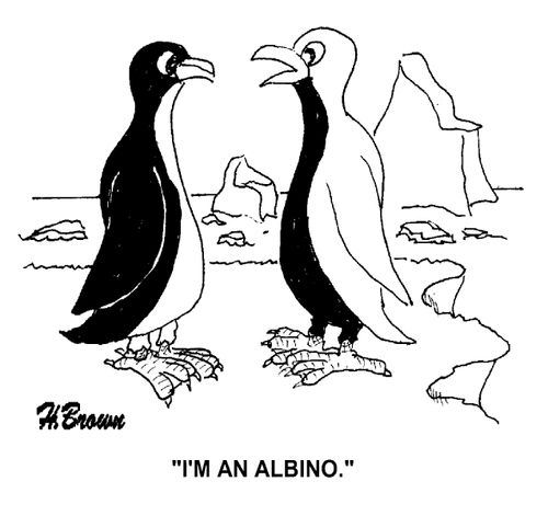'I'm an albino.'