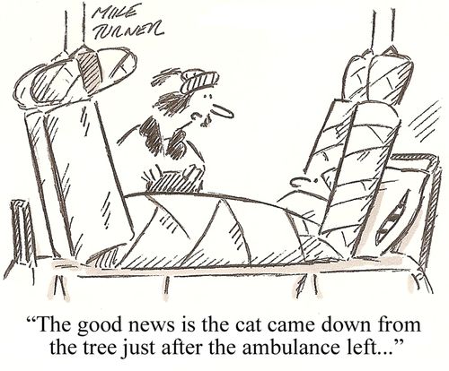 'The good news is the cat came down from the tree just after the ambulance left...'