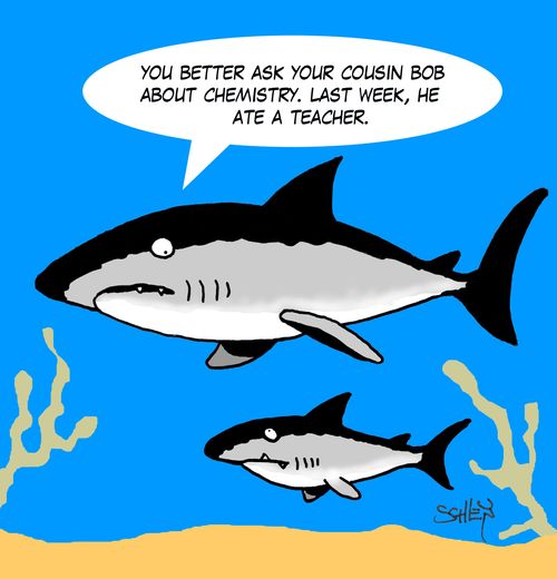 'You better ask your cousin Bob about chemistry. Last week, he ate a teacher.'