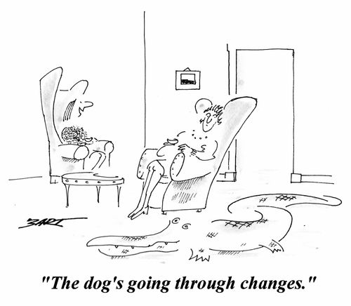 'The dog's going through changes.'