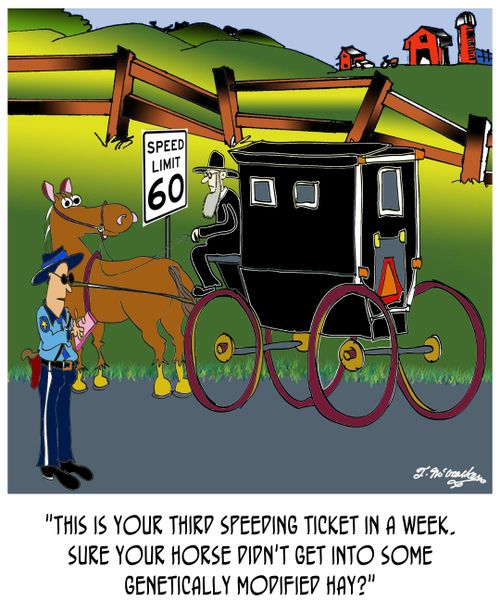 'This is your third speeding ticket in a week. Sure your horse didn't get into some genetically modified hay?'