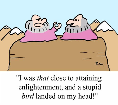 'I was THAT close to attaining enlightenment, and a stupid BIRD landed on my head!'
