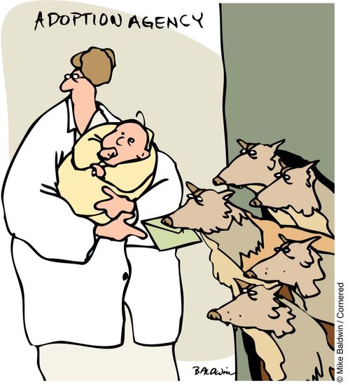 Adoption centre nurse accepting a bribe from a pack of wolves
