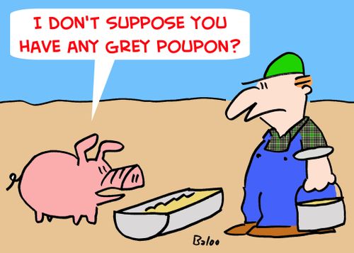 'I don't suppose you have any grey poupon?'