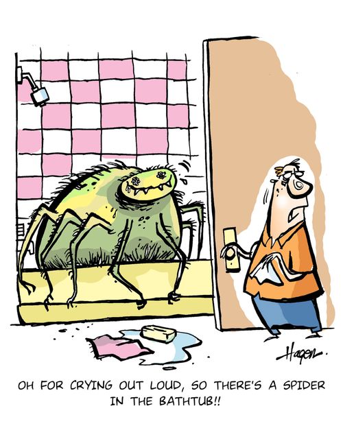 'Oh for crying out loud, so there's a spider in the bathtub!!'