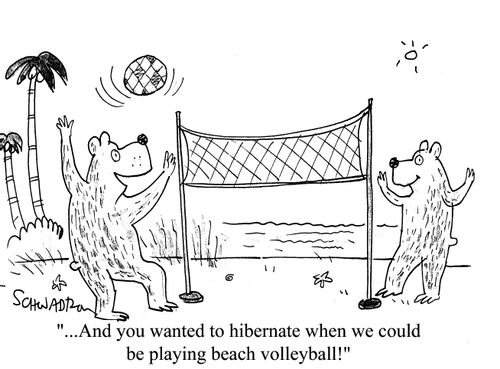 '...And you wanted to hibernate when we could be playing beach volleyball!'
