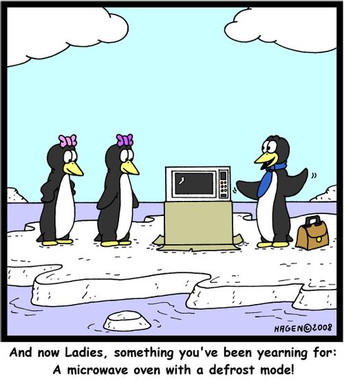 'And now Ladies, something you've been yearning for: A microwave oven with a defrost mode!'