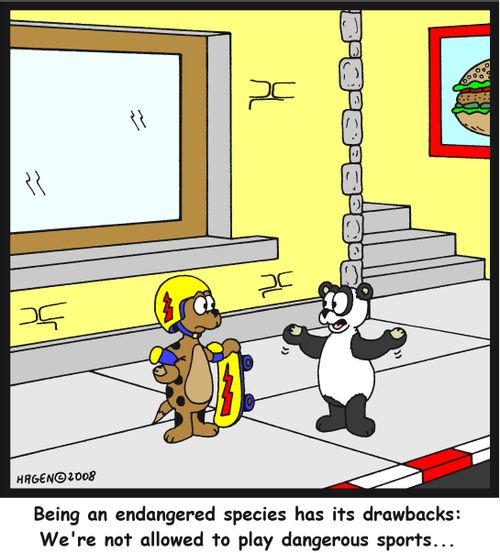 'Being an endangered species has its drawbacks: We're not allowed to play dangerous sports...'