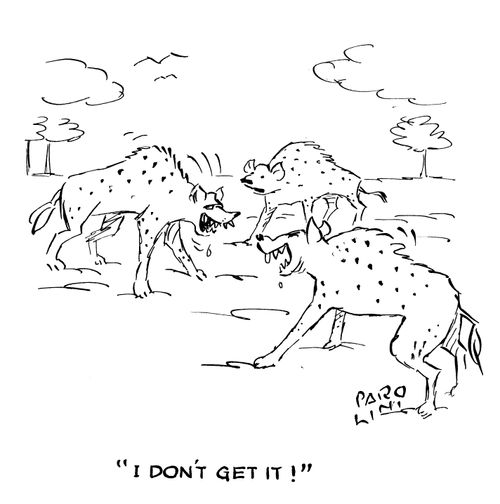 'I don't get it!'