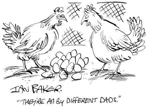 'They're all by different dads.'