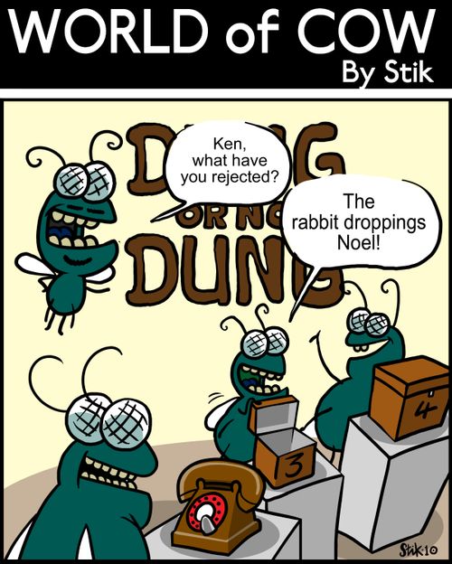 'Ken, what have you rejected?' 'The rabbit droppings Noel!'