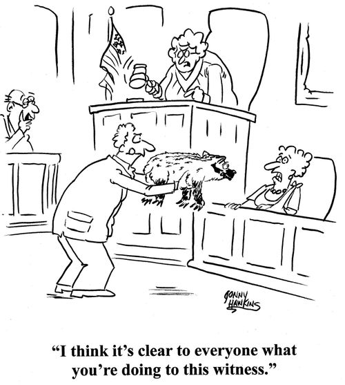 Judge about lawyer with badger: 'I think it's clear to everyone what you're doing to this witness.'