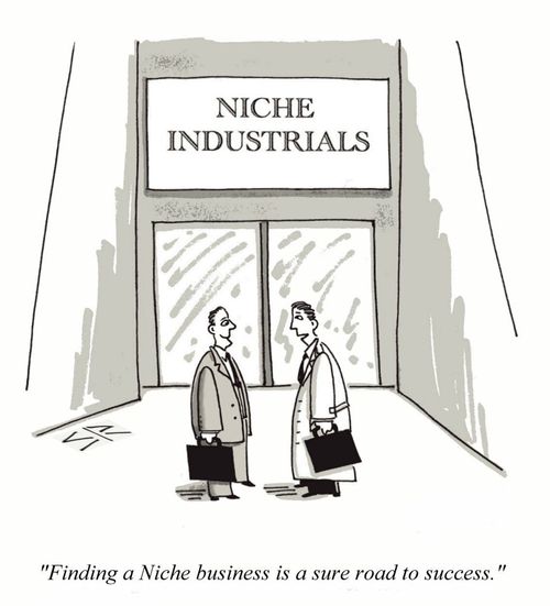 Finding A Niche