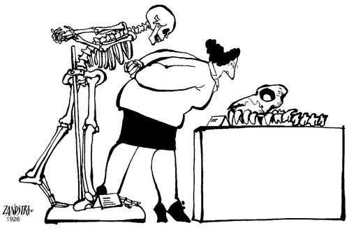 Skeleton studying a fossil.