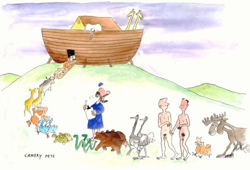 Noah's Ark