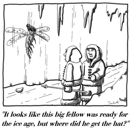 'It looks like this big fellow was ready for the ice age, but where did he get the hat?'